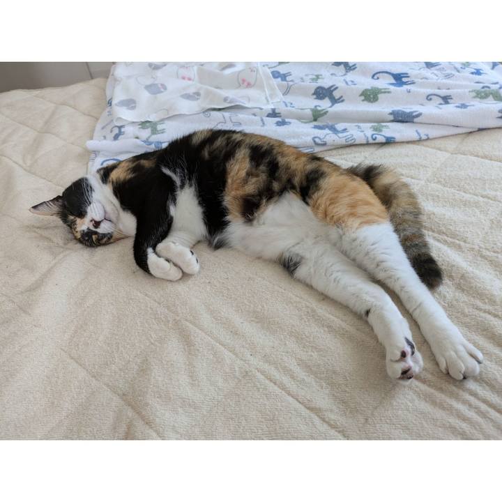 9dd3f8fb e73a 4347 b1b1 8485de828913 1726622628642