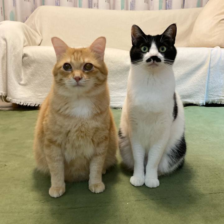 9dd43ccf 7ebd 4f0b 9b2b 5d3c0a088dca 1765624110744