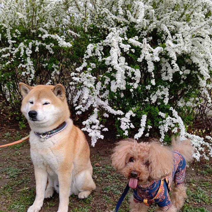 9dd4815e 1a97 4e37 81cc 3928d4859357 1616399354335