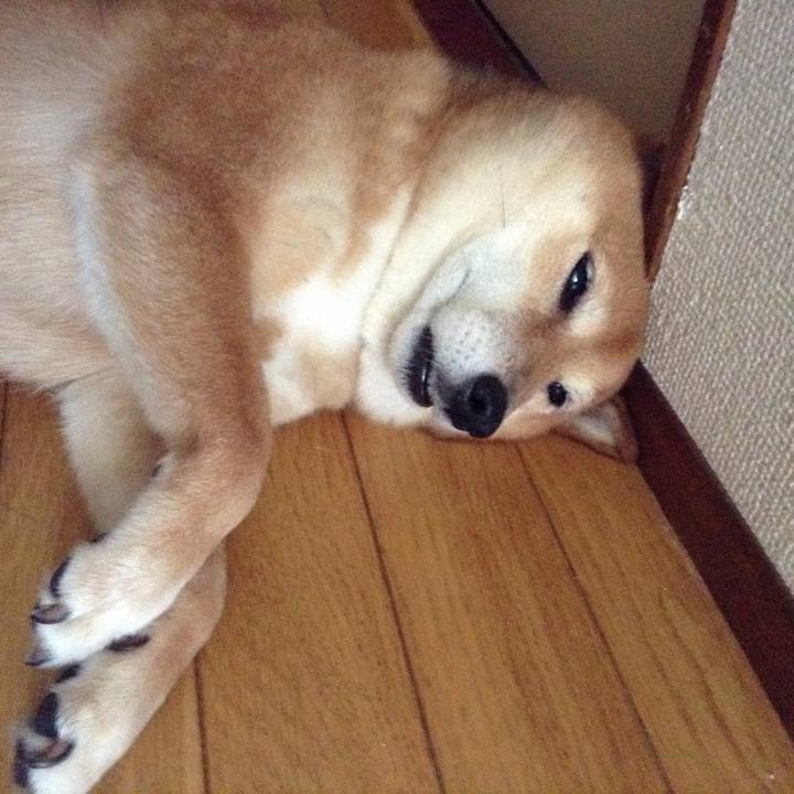 9dd484b9 0063 4207 ad71 13d0ddc620d5 1534912874831