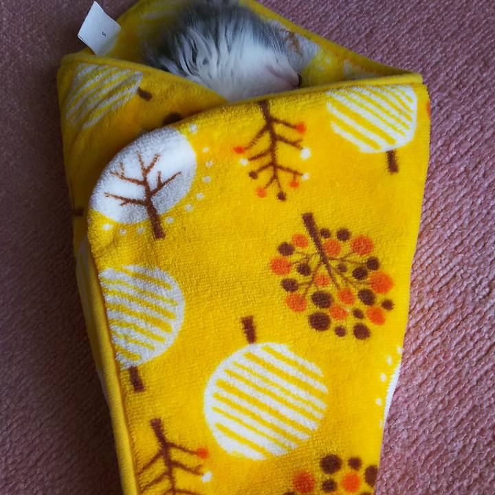 9dd4956f e959 4360 be79 5aefba151b6d 1560563191458