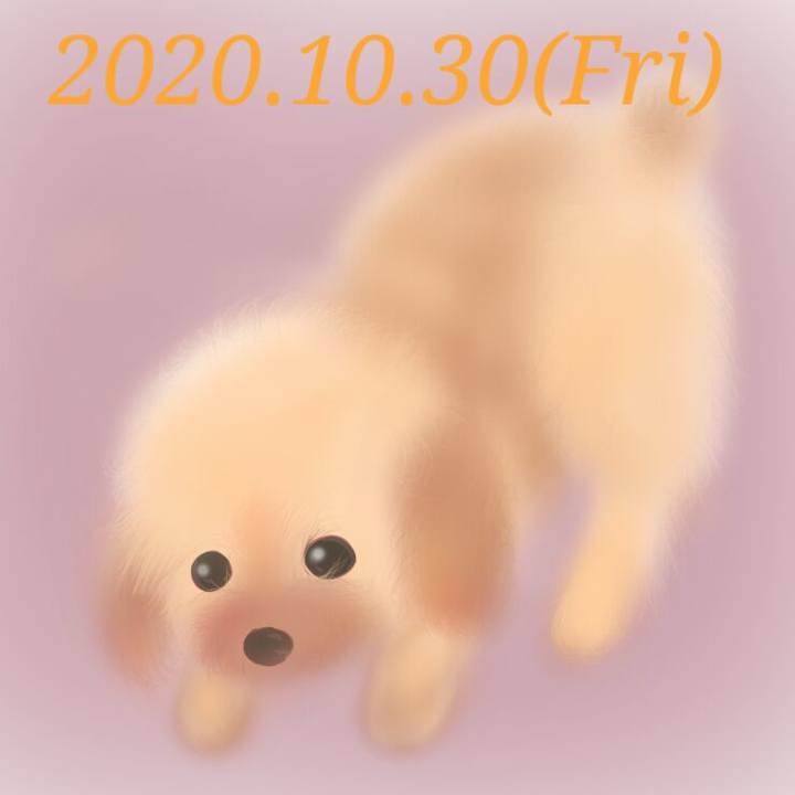 9dd4d3c7 988b 4f9d ac00 7218792bf650 1604060973814