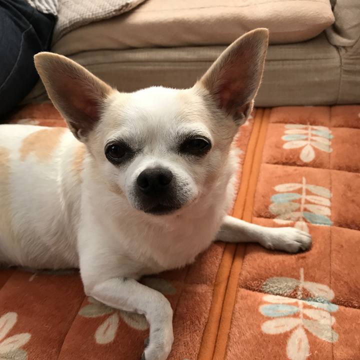 9dd51245 6d14 4274 be77 9730dd2ae125 1507899965991