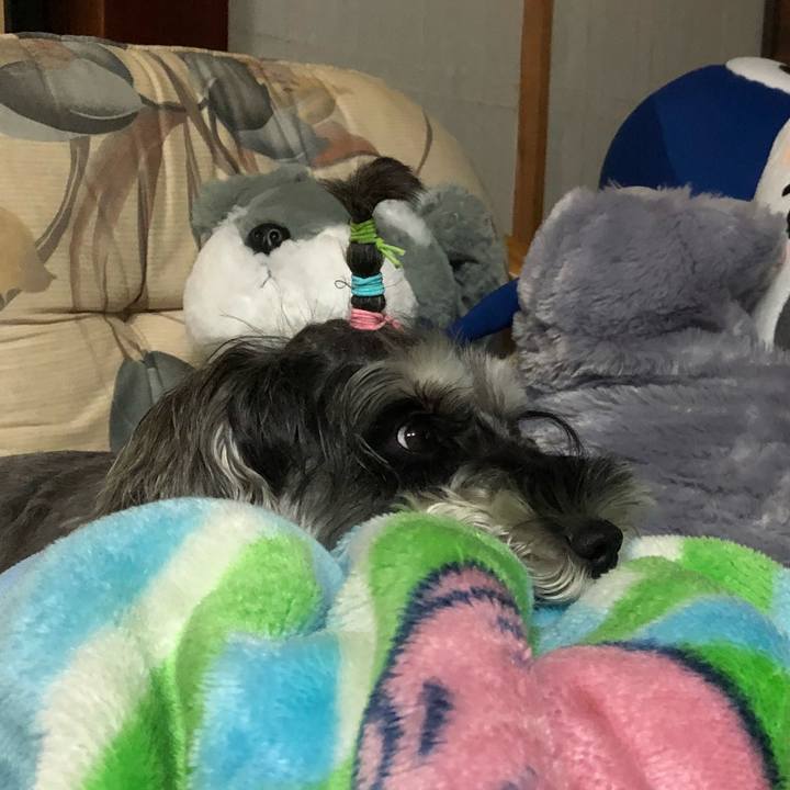 9dd5343e 678e 48be bc7d 35eecef274f1 1538907827606