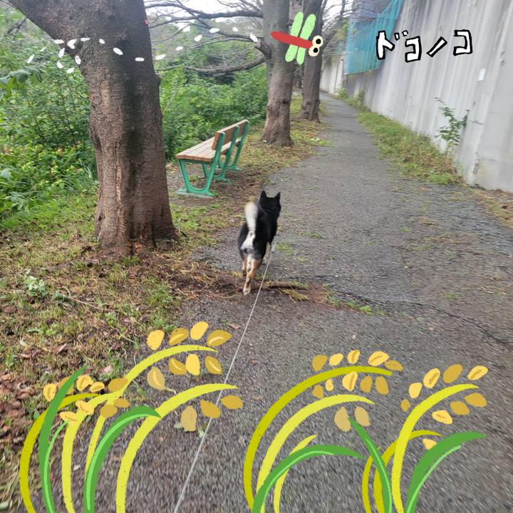 9dd58ee0 d8db 4be9 b8ae 560ed17344eb 1761867732278