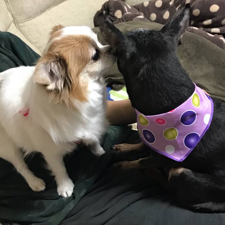 9dd593c5 ae6e 4310 b257 3787ee6c759a 1549061372265