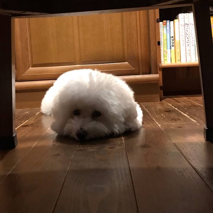 9dd5afc9 f9bf 4db3 9026 ea7e3a6bcd02 1567119814677