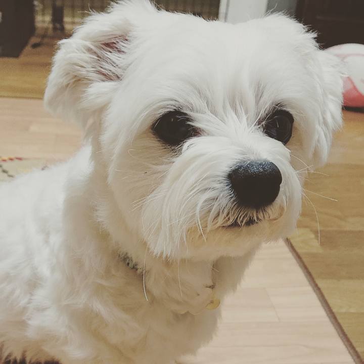 9dd5bec3 791e 4ddd a1f9 cf8fb4be9c14 1550220483729