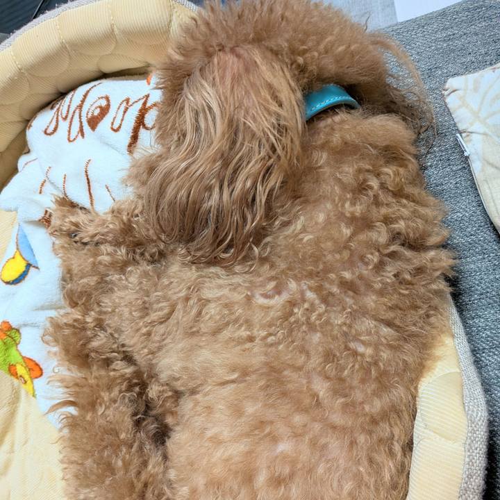 9dd5eec2 ec61 4d22 b407 34704d1bd134 1762587995274