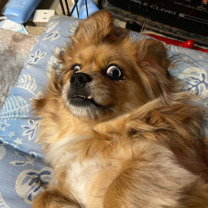 9dd62c7e c6fd 465b a24d ce03085f3aea 1610055571850