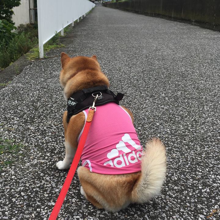 9dd63df5 e79d 4015 ba86 d4309187bd87 1594008330085