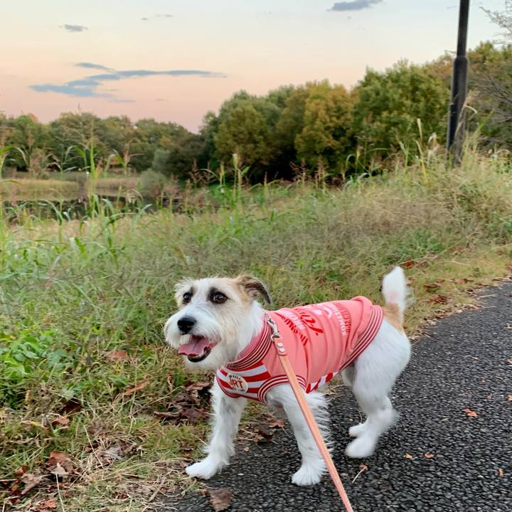 9dd65406 3d40 4aad 9e6d ac1d16bd9bd7 1667904467596