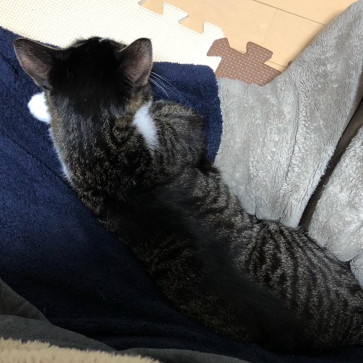 9dd6a444 65ad 4d0f 8e32 7654b73981d4 1515050238875