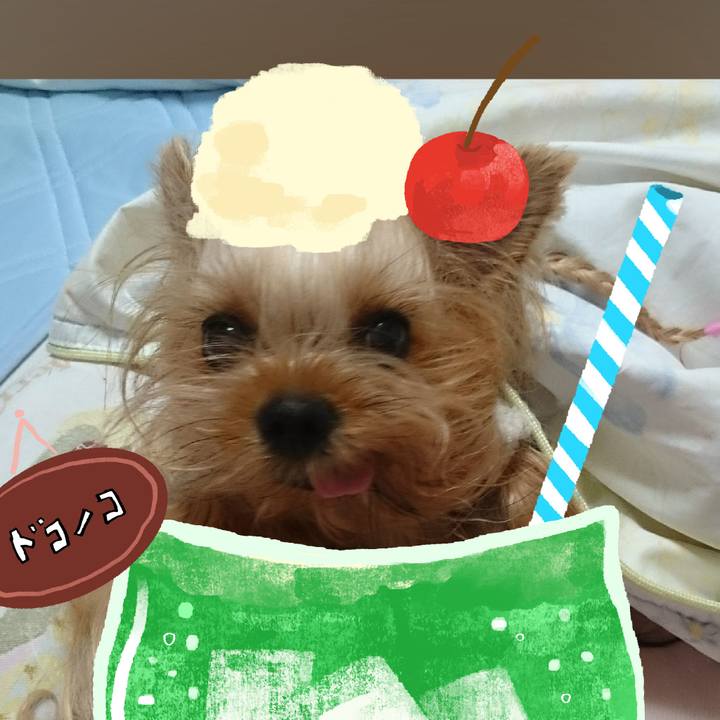 9dd6ae56 29dc 4217 b04e 4b8cdeeed034 1755050789704