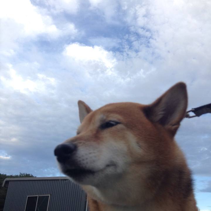 9dd6b2ad 0c87 4766 b700 d4e177b48f73 1536310875034