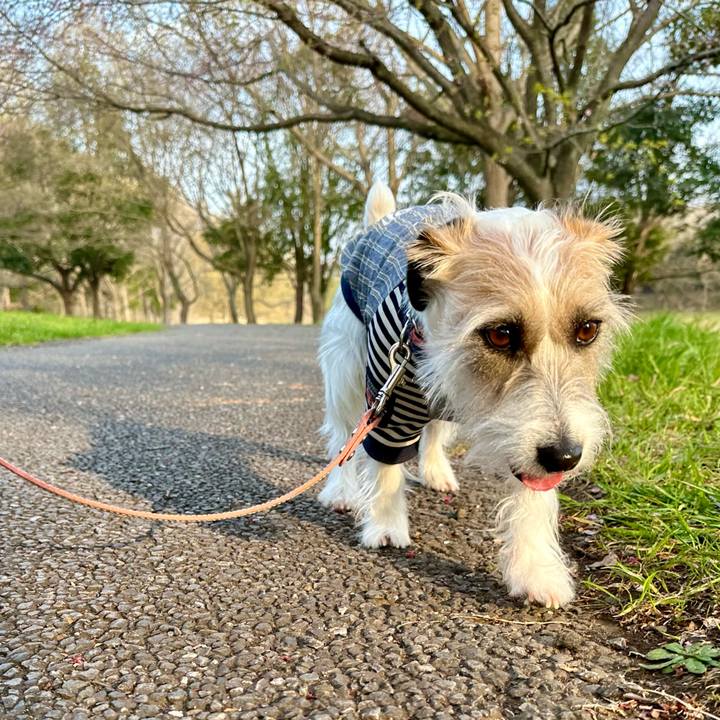 9dd6fead 4ff0 463d 8303 a6ca9680ff6e 1711891984526