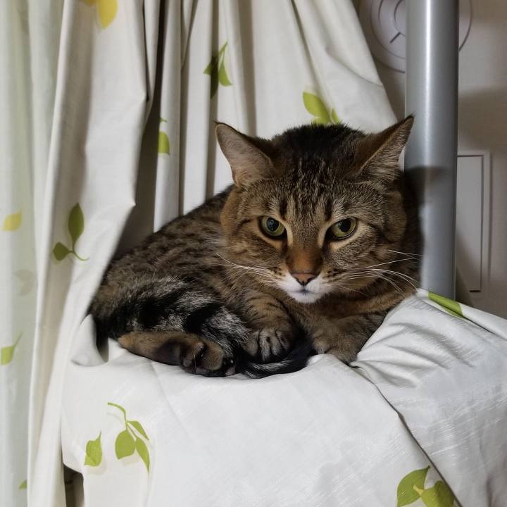 9dd70f40 482b 48b8 801f 71bfc0bb00e1 1553226479973