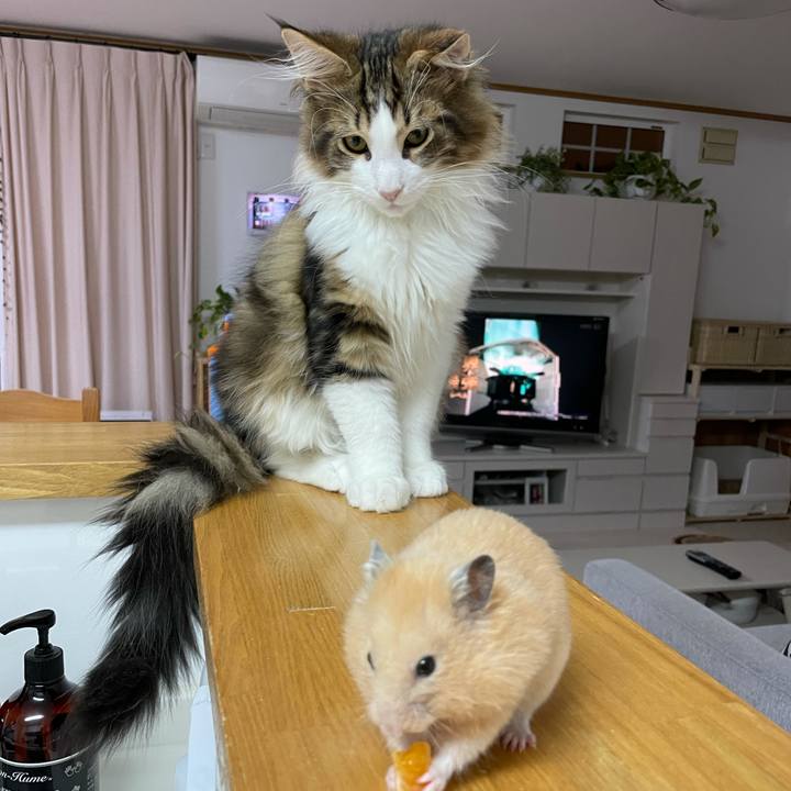 9dd716d5 15fd 4105 ac4b 44f279b62011 1636230185467