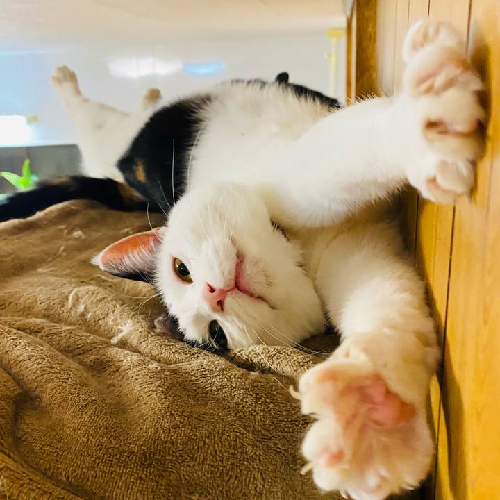 9dd732fe b5fe 481e 8167 b47827e1c90c 1677586569306