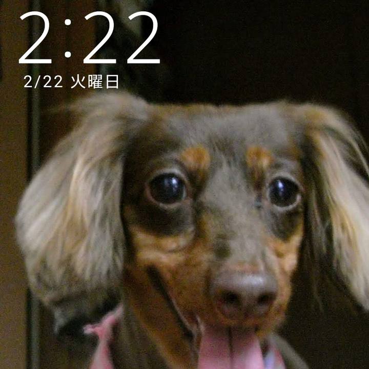 9dd75958 fe68 4e39 beeb 79745fc1fff7 1645507398555