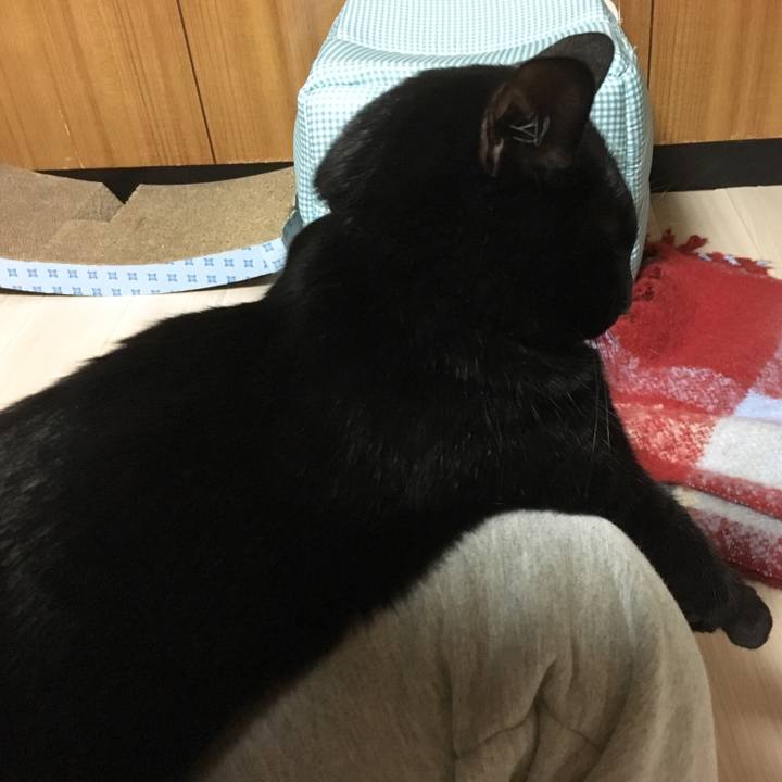 9dd77cff 2ad1 4026 ac3e 41ad85ae92f7 1519304866990