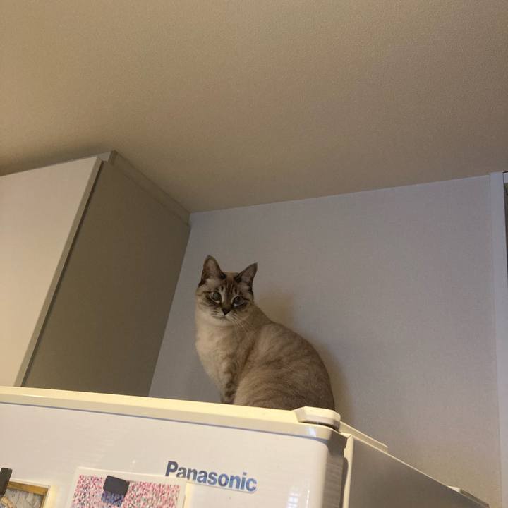 9dd7a0f2 c299 4044 8093 279239f172a7 1766195743947