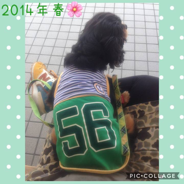 9dd7e915 c65a 4805 b8e1 e1f0ab0f21e4 1587023225498