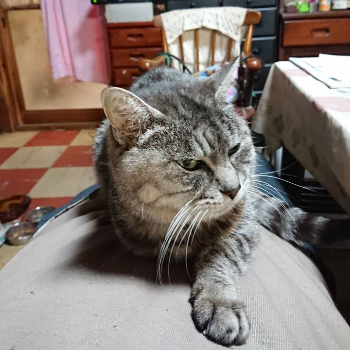 9dd804b2 fea0 4cae b570 db09235fb3c3 1576578742154