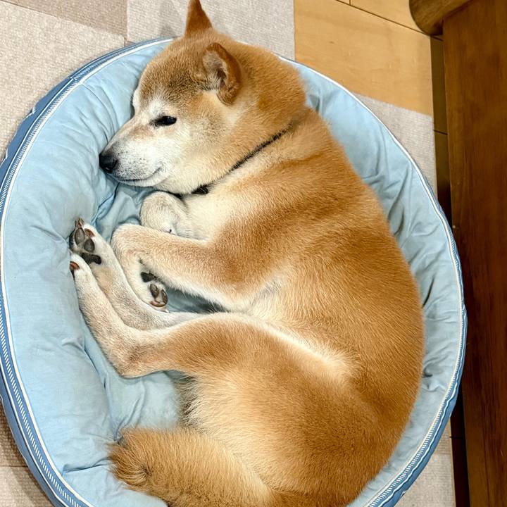 9dd80ebe 2f92 483c 92dc 67a6369a1f3e 1752494098890