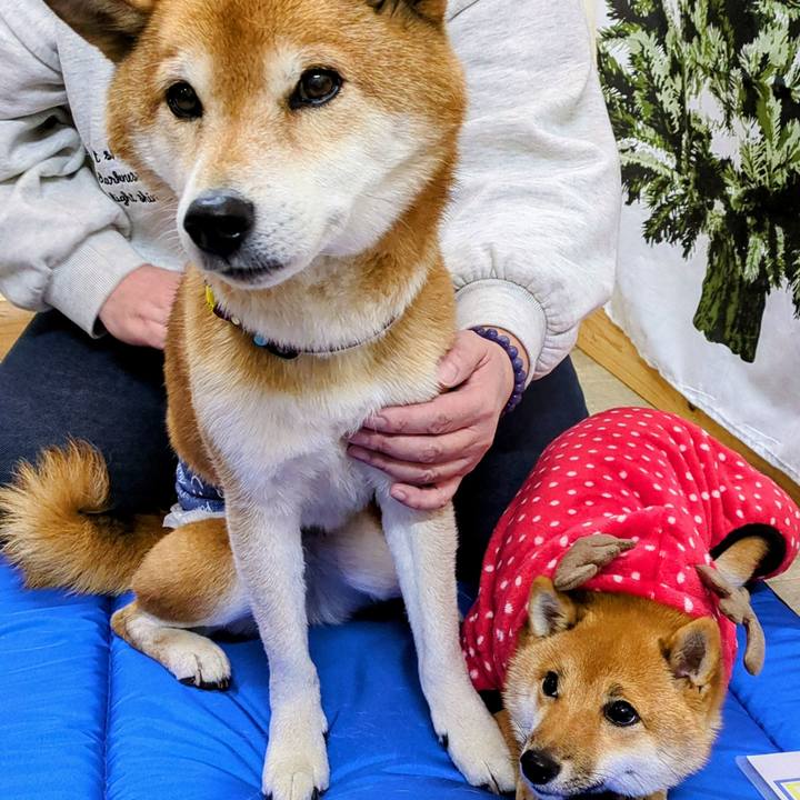 9dd81bc1 298f 4446 bd3a b640376e58f5 1766116901021