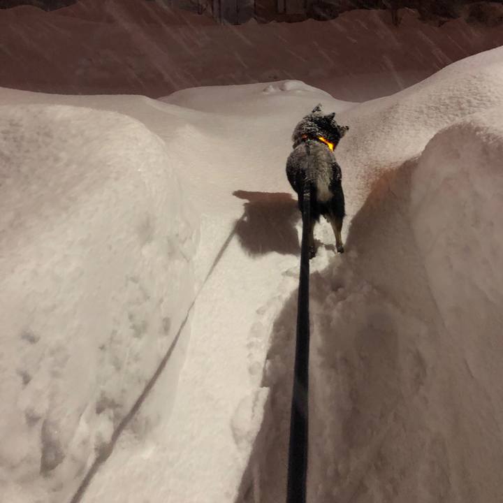 9dd83013 9279 4184 87f4 71279b904c16 1547156828183