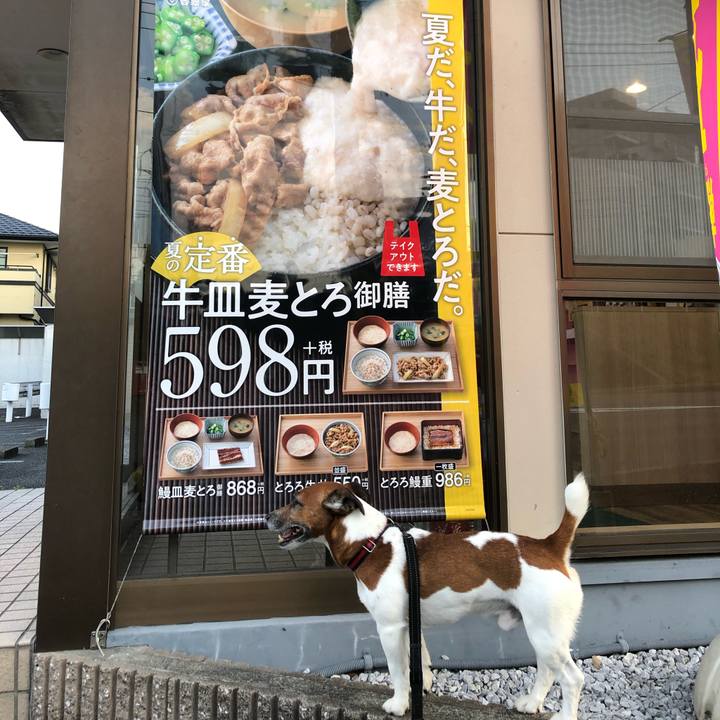 9dd85d88 294d 4974 9547 f6e8800371a8 1596753744007