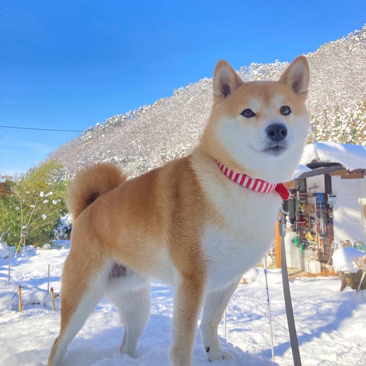 9dd870ec 0b24 4212 a267 fbdcf2bcee52 1671628504118