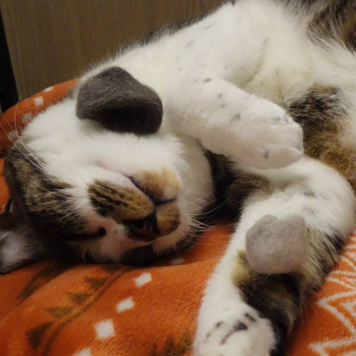 9dd8cb71 eb69 4e52 b3b3 3bf9089607c1 1772764977715