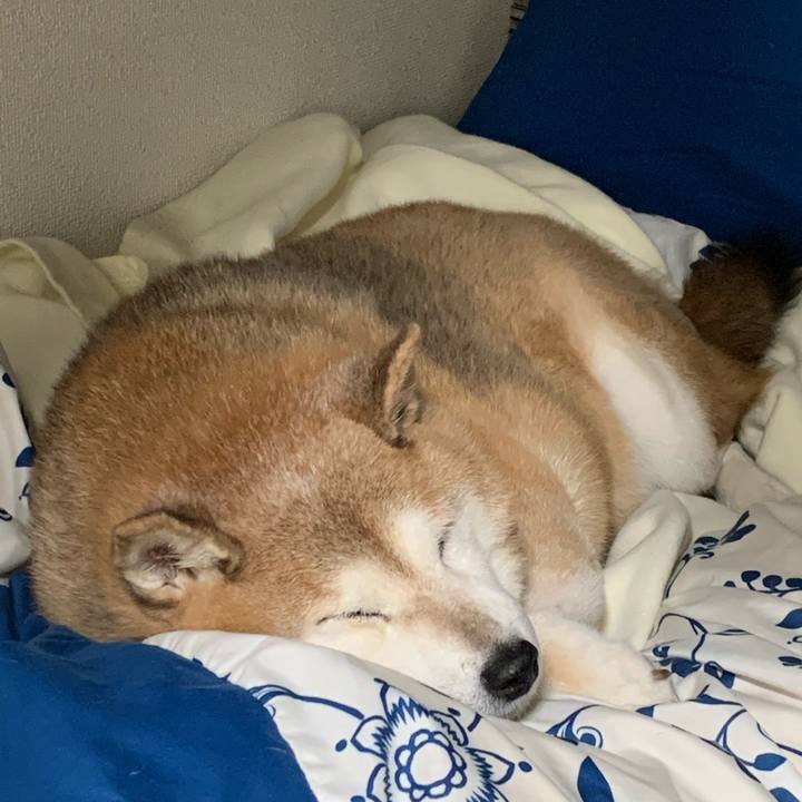 9dd8ce89 096f 459d a154 289e6c42ebec 1572626907004