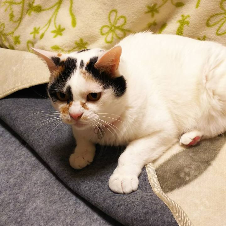 9dd8de00 4d3f 4981 af59 007e381a5117 1516882080870