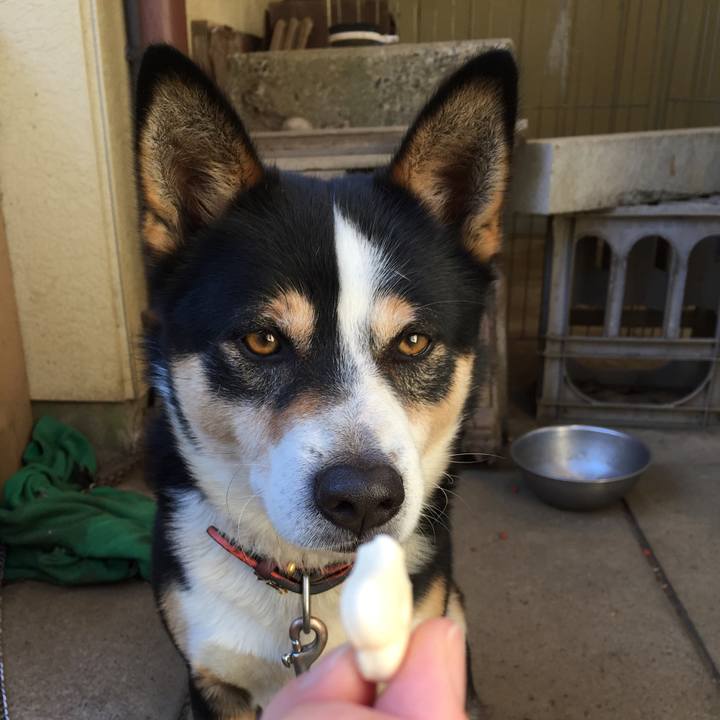 9dd8e117 cc99 40ea 92c4 56ea48ab40a7 1525977449735