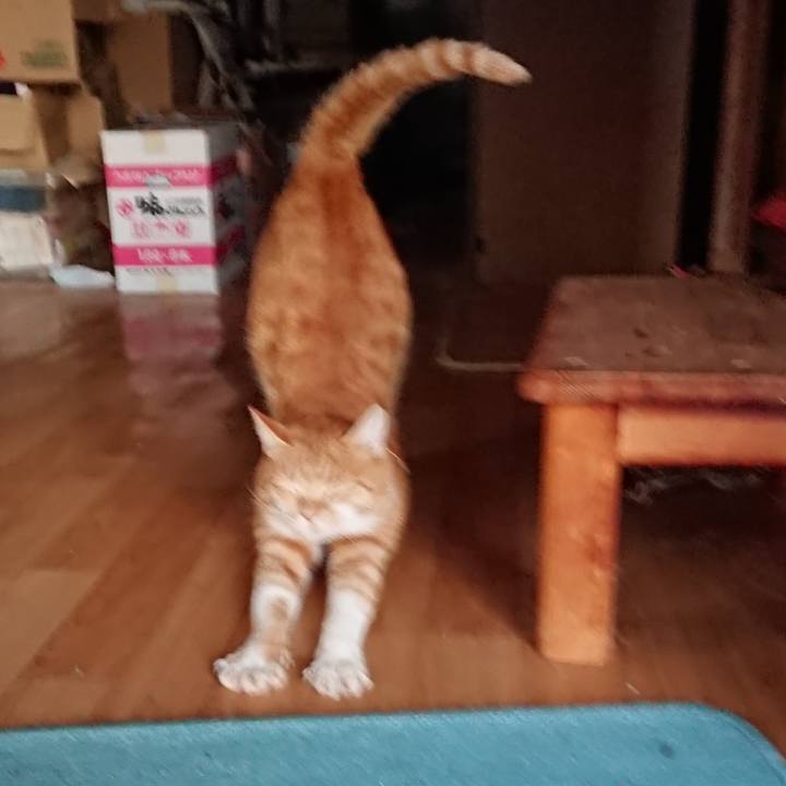 9dd91dae f40f 403a 8eb0 82d808677115 1568366423213