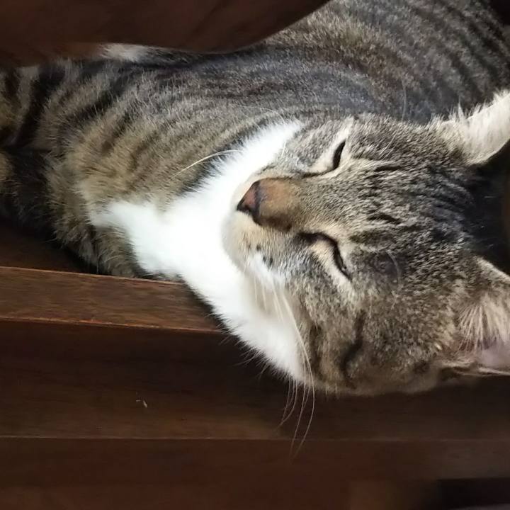 9dd923e0 073d 49cc 88a5 34c6084fb814 1631286647418