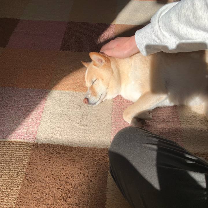 9dd929f1 a0d1 4948 a885 aa614ed96adf 1638497128042