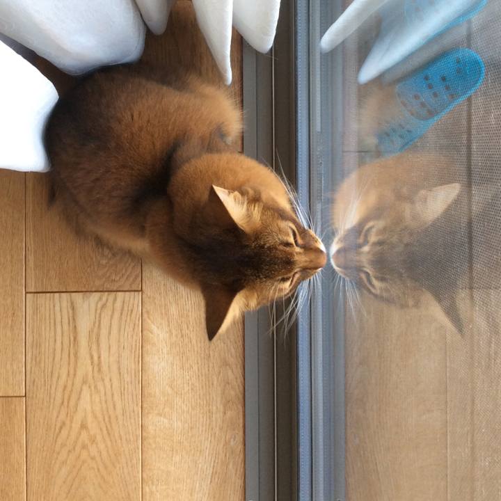 9dd92c9f 0b18 46e7 b2cb 80c9a863b3ac 1633300168837