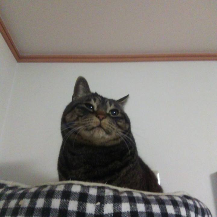 9dd9ad52 0c2f 4731 9690 f1da94fea127 1553931597952