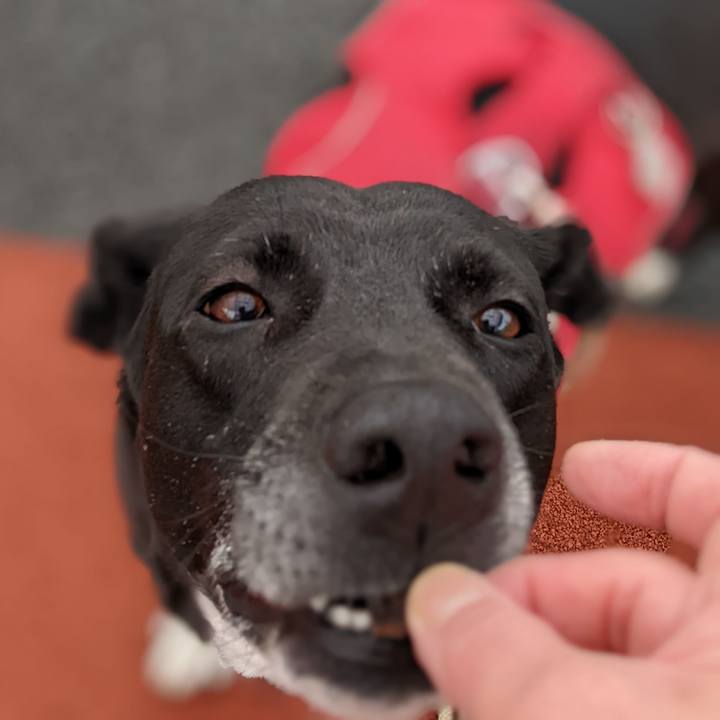 9dd9e284 2816 4d14 9002 c7f5e95b11ef 1648774055051