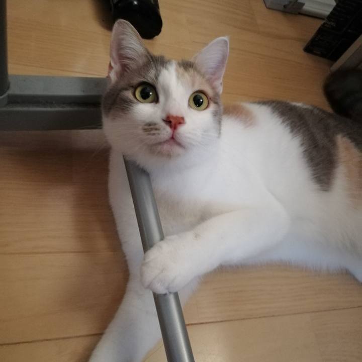 9dd9e7b8 6b1b 476f a039 59f3daab58f3 1557478680838