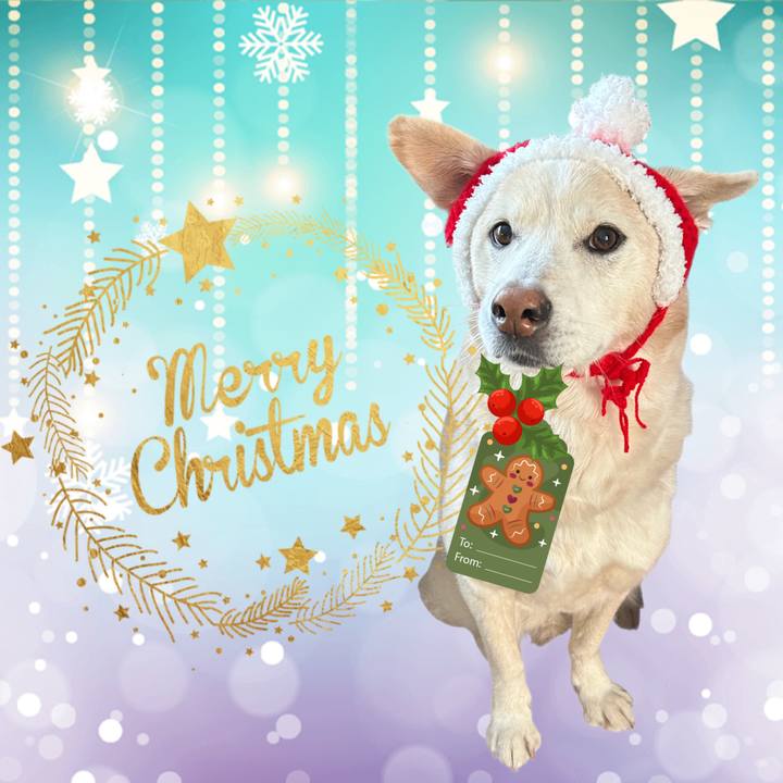 9dd9fd83 9b40 4c45 979f c77a668ba92c 1703344206150