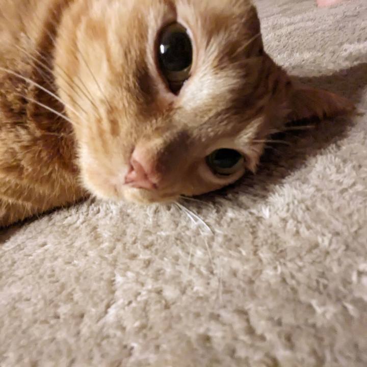 9dda0a24 4d1a 4a36 83a5 a0d43308ff65 1683724760596