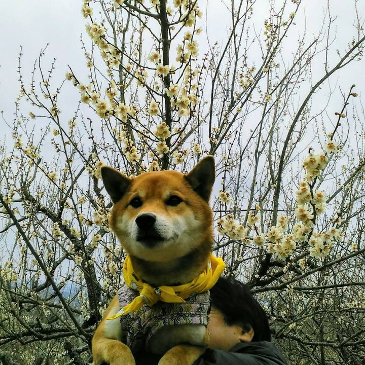 9dda16ed feeb 4619 bd6f cdcc8053ed4b 1519546140503