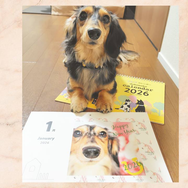 9dda91af 4ae3 42b7 ada8 d1c025996f8b 1765100563271