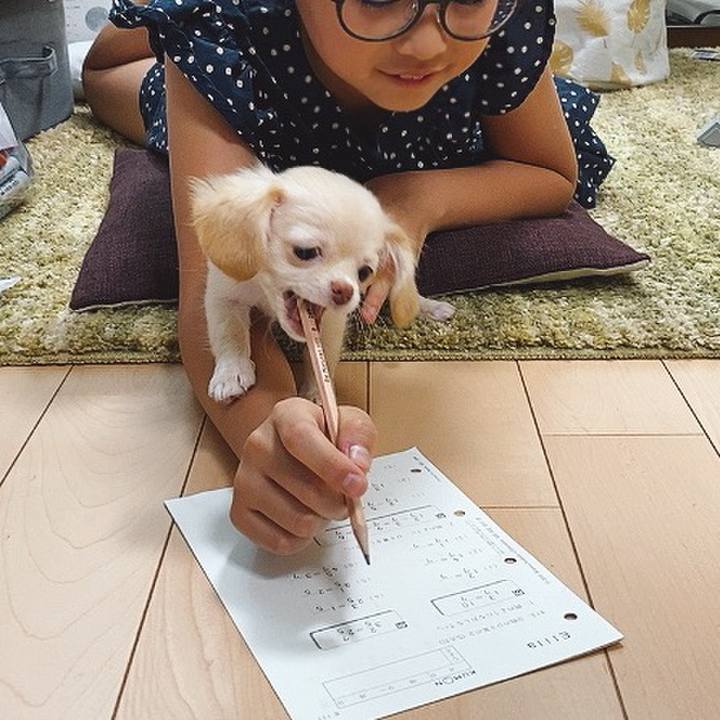 9ddaa528 71f7 4f75 ac42 e7dafbf559a7 1591234604980