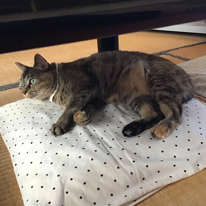 9ddac17a fe9c 474e 8f52 f3d192b1abb5 1688036473971